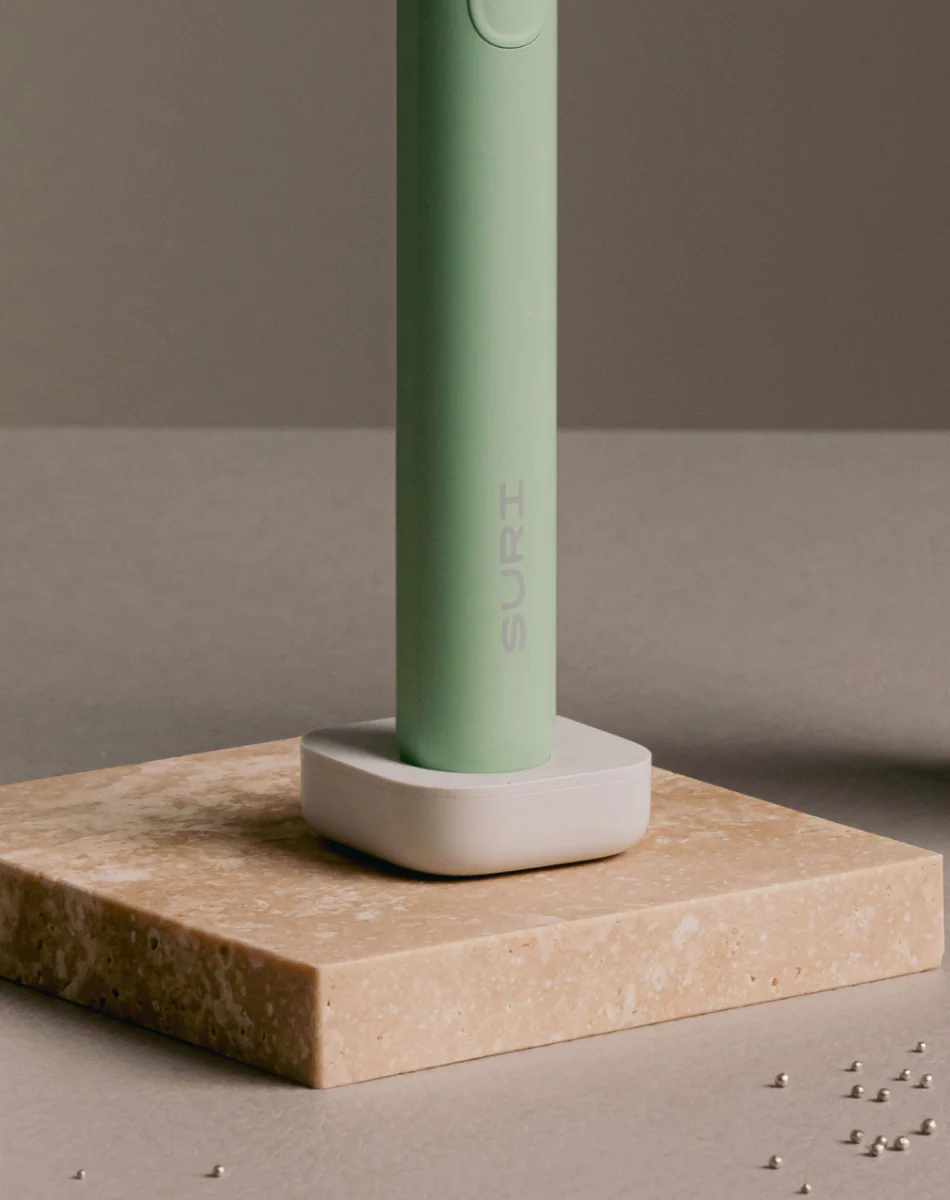 Spare S2 Winter Fern Electric Toothbrush Handle